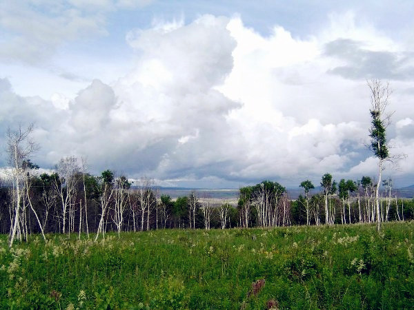 Xilin Gol Prairie