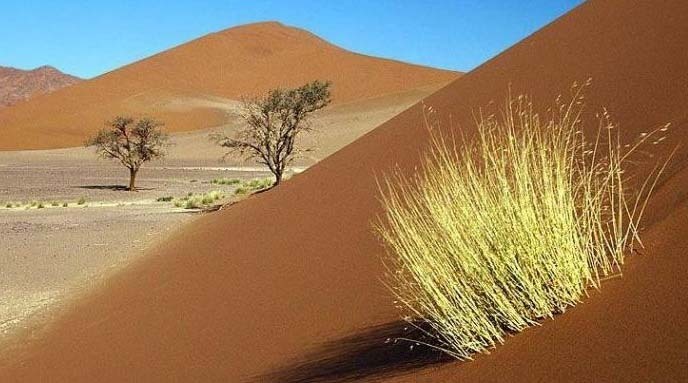 Ulan Buh Desert