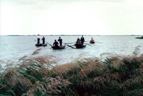 Molimiao Shahu Area