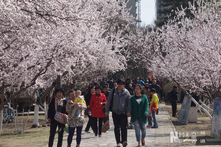 Spring in North China