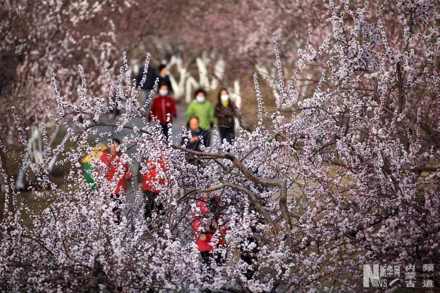 Spring in North China