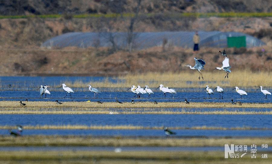 Spring in North China