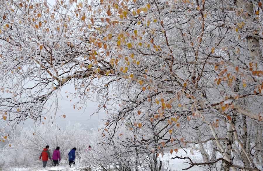 Beautiful scenery in Inner Mongolia