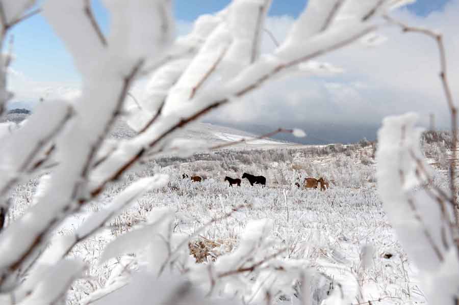 Beautiful scenery in Inner Mongolia