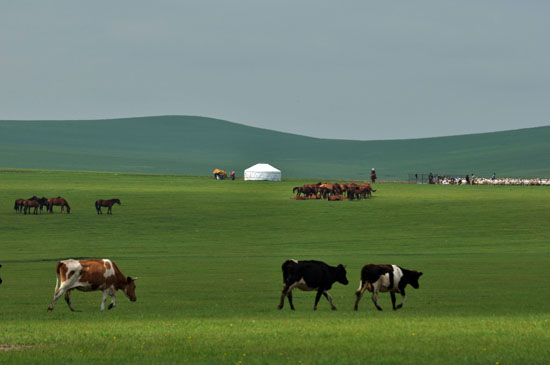Branding key to success for Inner Mongolia tourism