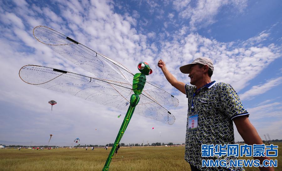 Kites flying high in Hohhot