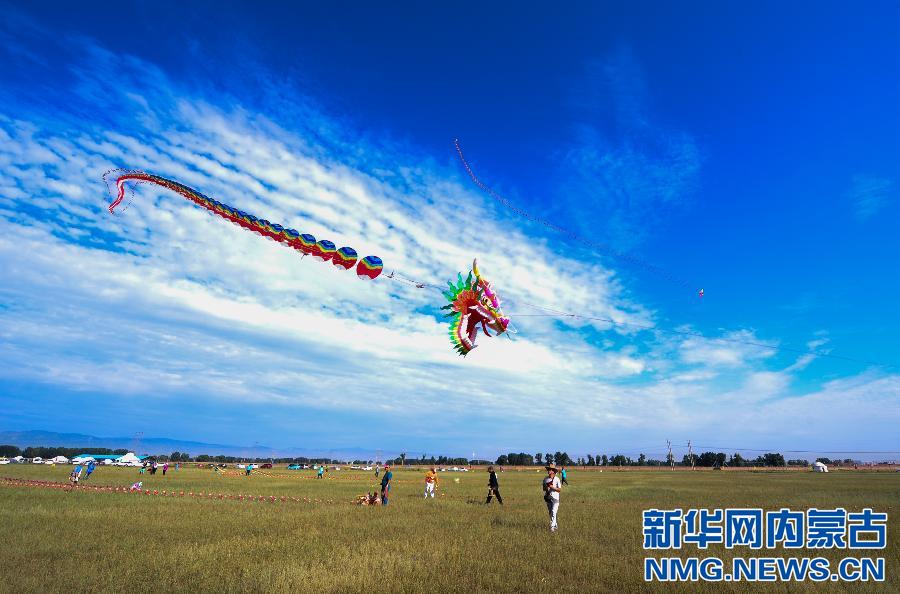Kites flying high in Hohhot