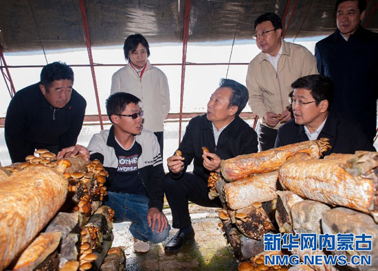 Inner Mongolia heads inspect Ten Full Coverage project