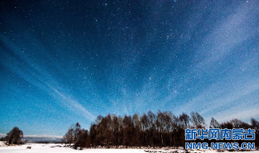 Spectacular starry night in Inner Mongolia forest