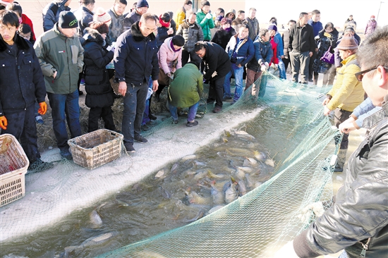 Big haul at Inner Mongolia winter fishing