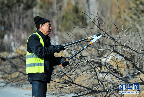 North China continues its greening work