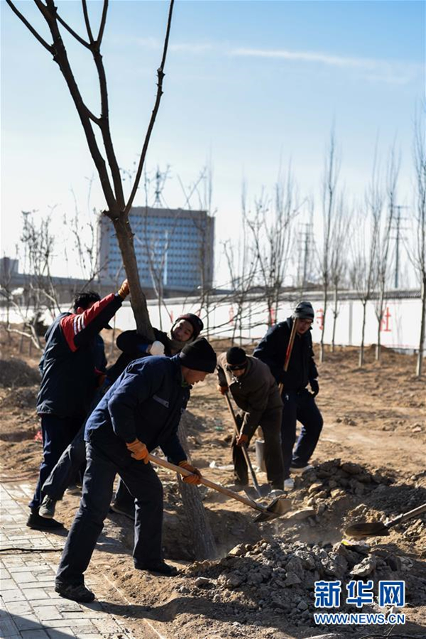 North China continues its greening work