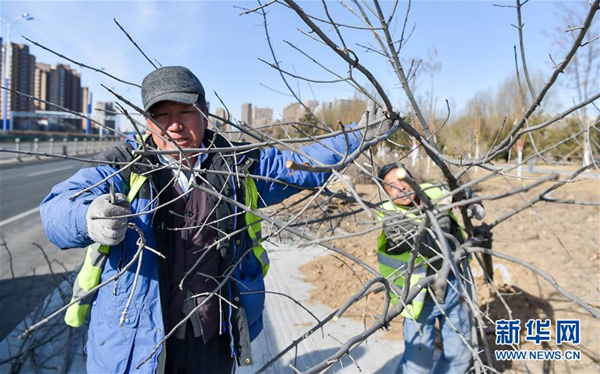 North China continues its greening work