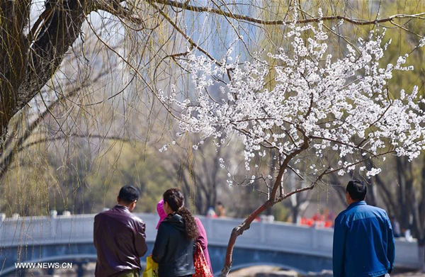 People enjoy scenery at Qingcheng Park in Hohhot, North China
