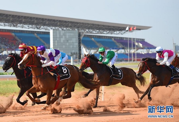 Horse racing clops in Ordos