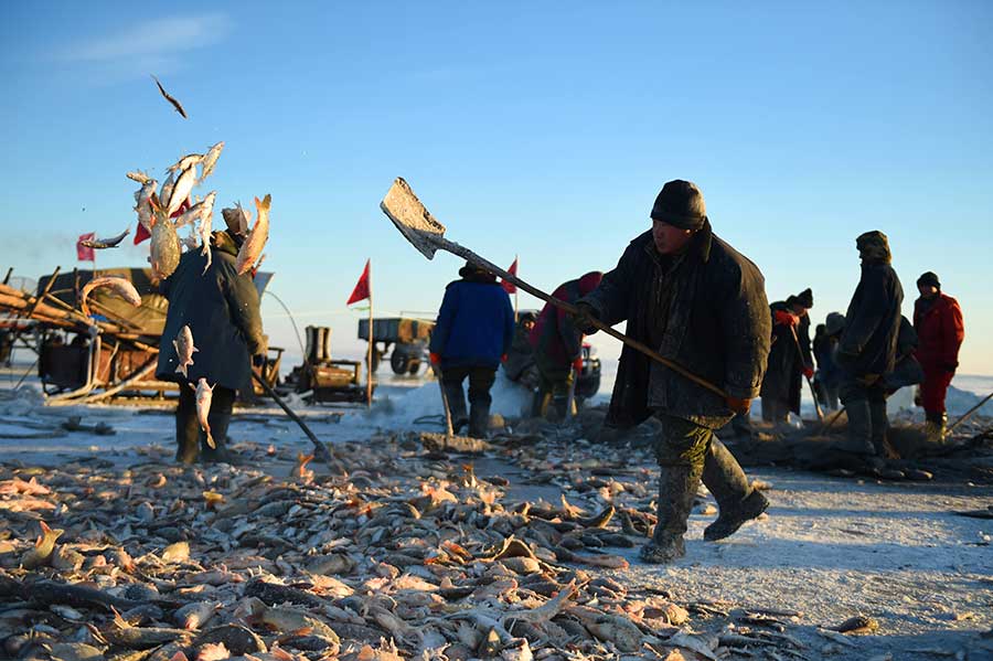 Winter fishing in ice-covered Hulun Lake in Inner Mongolia