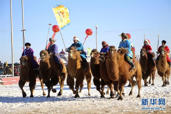 Camel culture festival enchants tourists on Urad grassland