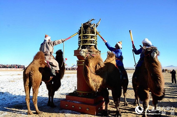 Camel culture festival enchants tourists on Urad grassland