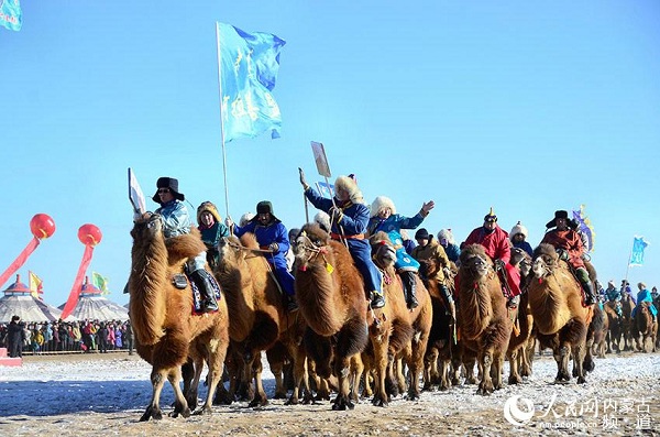 Camel culture festival enchants tourists on Urad grassland