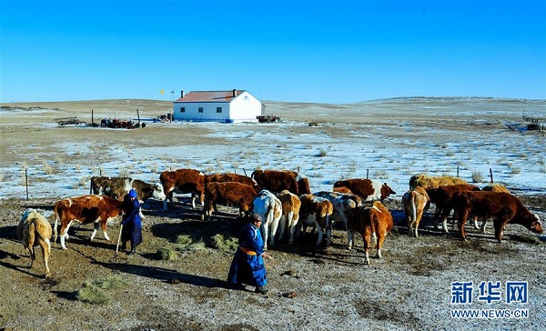 Grassland reading room benefits Abag Banner herdsmen