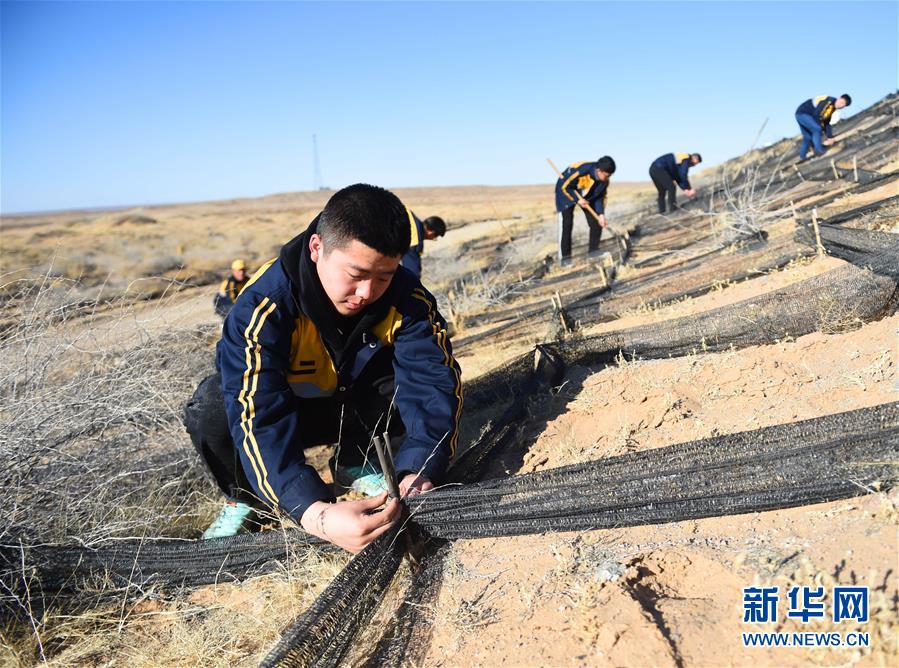 Desertification control along railway route