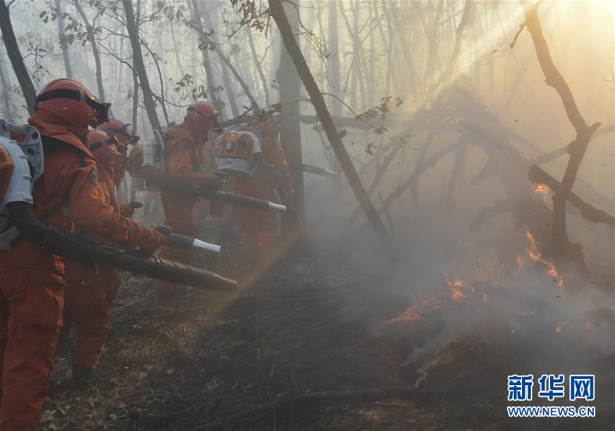 Fires extinguished in Yimuhe forest