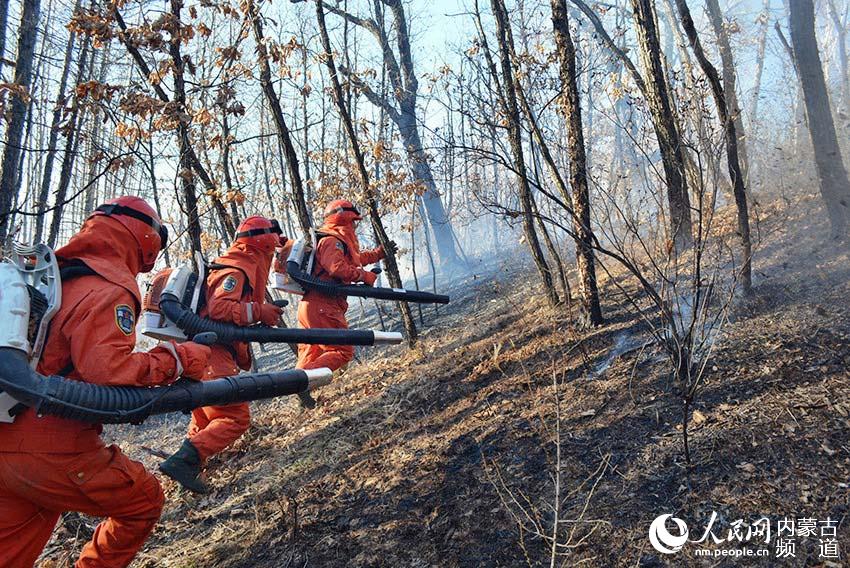 Fires extinguished in Yimuhe forest