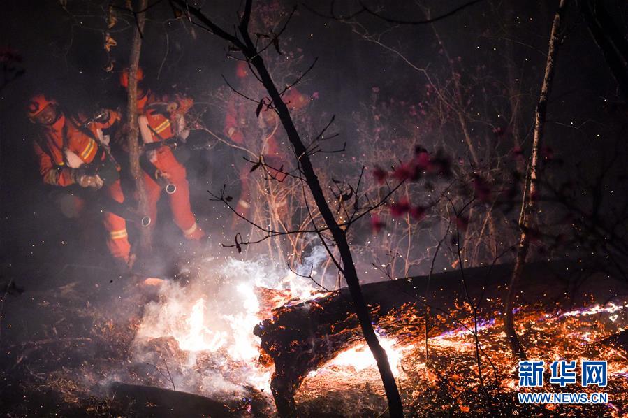 Firefighters battle Beidahe forest inferno