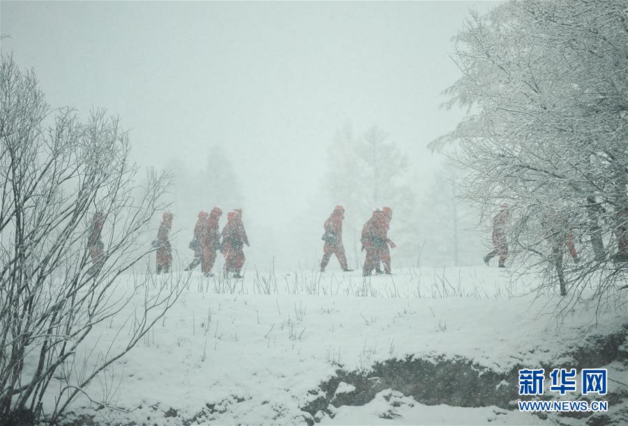 Snowstorms cause firefighters to withdraw