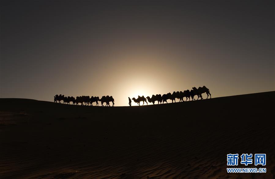 Desert dawn in Ordos