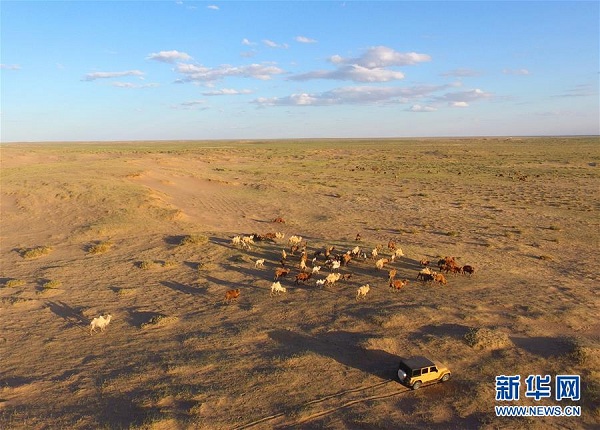 Farmer escapes poverty by raising camels