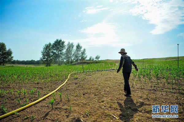 Eastern farmland suffers drought