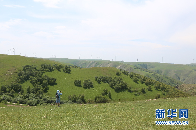 Visitors escape summer heat at Huitengxile Prairie