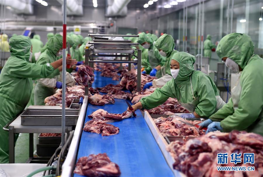 Grassland beef and mutton delivered across China