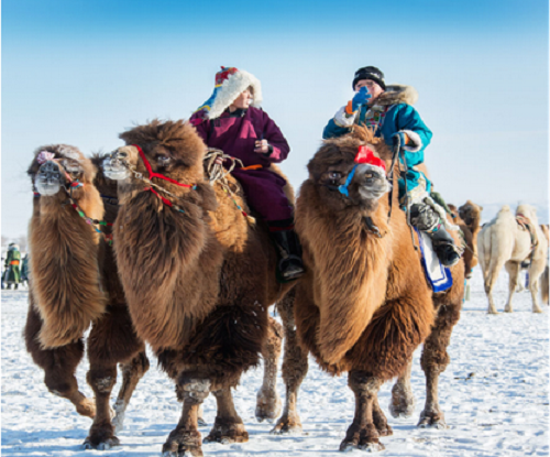 Ice carnival staged in Ejin Banner