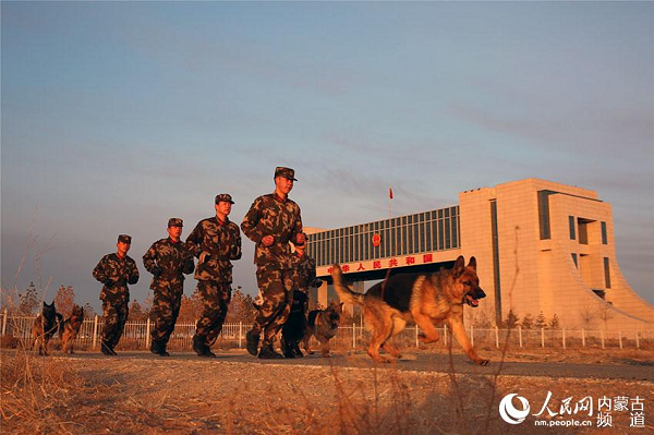 Patrol dogs help guard frontier