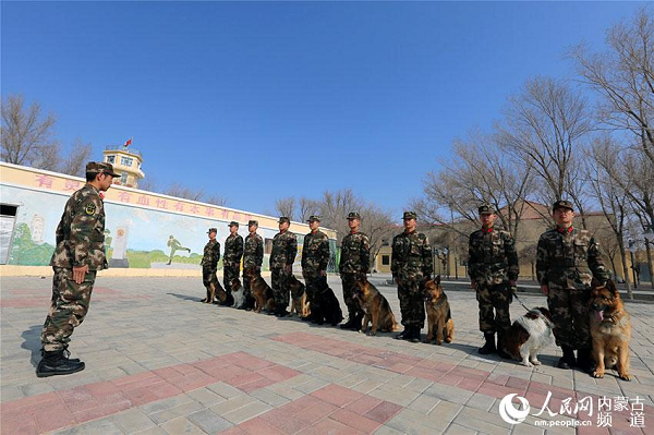 Patrol dogs help guard frontier