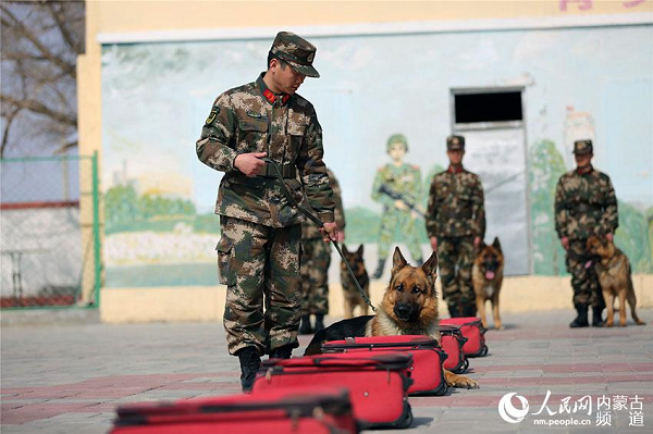 Patrol dogs help guard frontier