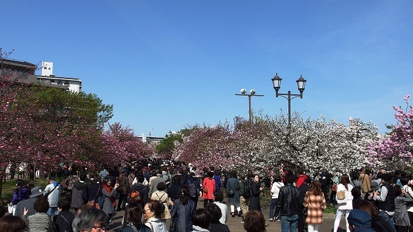 Hanami