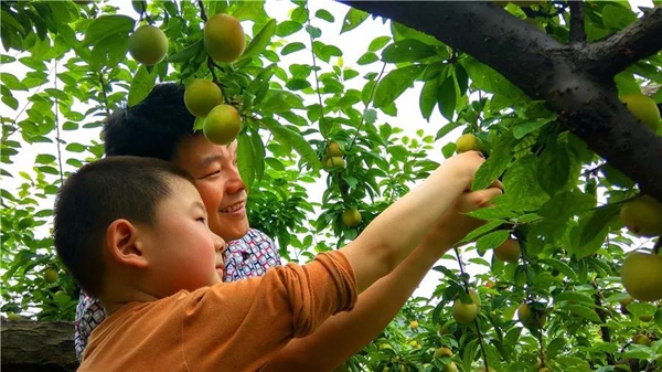 Binhu district to boost rural tourism