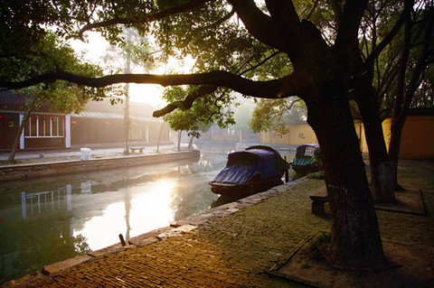 Zhouzhuang receives a 'global green town' award