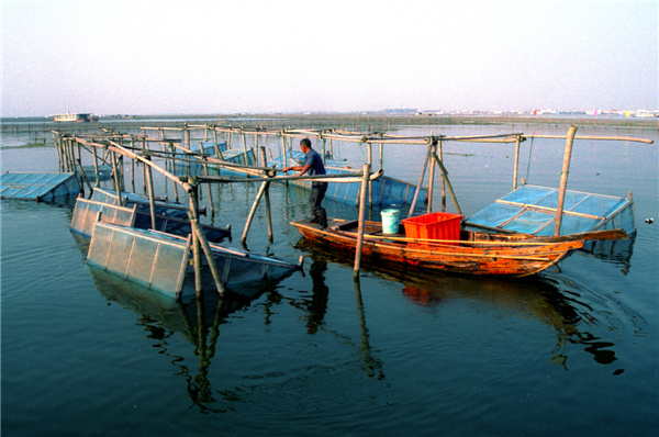 Yangcheng Lake