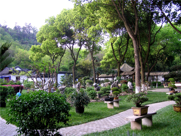 Park in the city