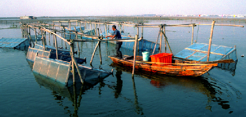 Yangcheng Lake Tourism Resort