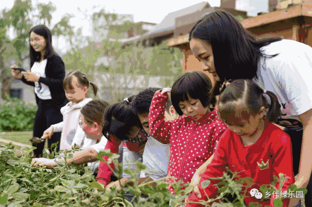 Zhouzhuang offers children a countryside paradise