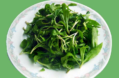 Kalimeris Indica