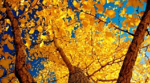 Dianshanhu: new Jiangnan for future living and tourism