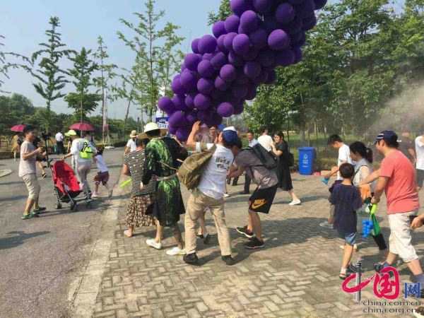2018 Bacheng Grape Festival gets underway