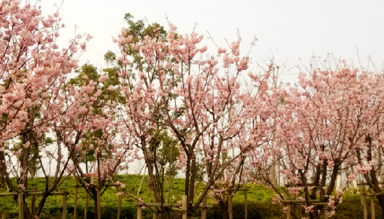 Recommended places in Kunshan to appreciat