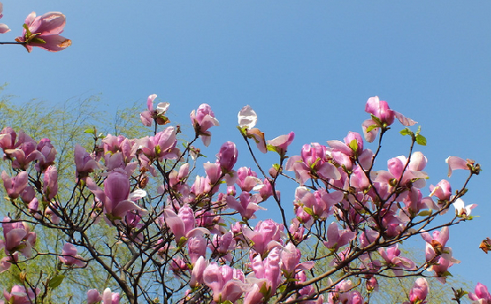 Recommended places in Kunshan to appreciat